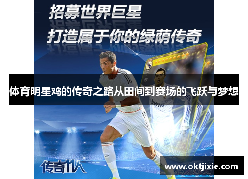 体育明星鸡的传奇之路从田间到赛场的飞跃与梦想
