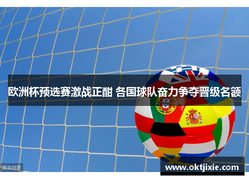 欧洲杯预选赛激战正酣 各国球队奋力争夺晋级名额