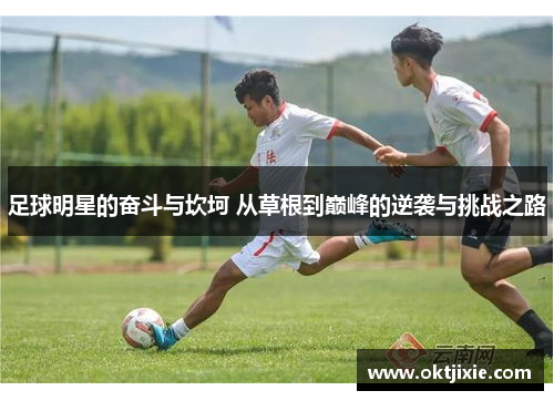 足球明星的奋斗与坎坷 从草根到巅峰的逆袭与挑战之路