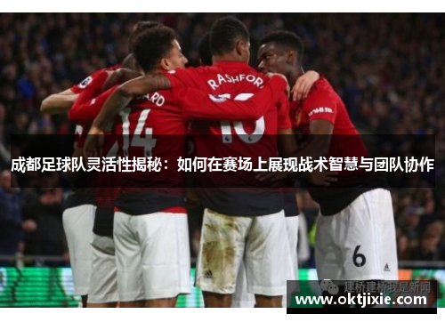 成都足球队灵活性揭秘：如何在赛场上展现战术智慧与团队协作
