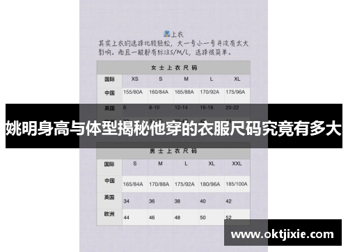姚明身高与体型揭秘他穿的衣服尺码究竟有多大