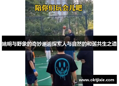 姚明与野象的奇妙邂逅探索人与自然的和谐共生之道